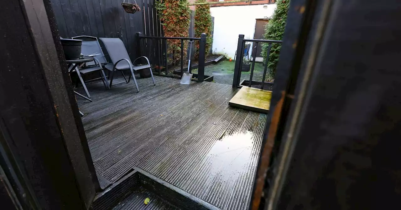 'My life is in turmoil': Belfast mum distraught as garden 'overrun' with rats