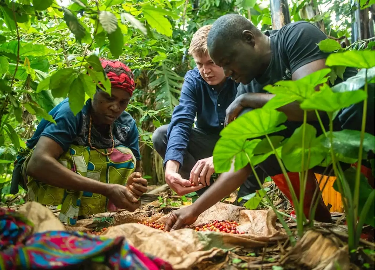 A 26-year-old South African is teaching the Dutch about African coffee | Business Insider