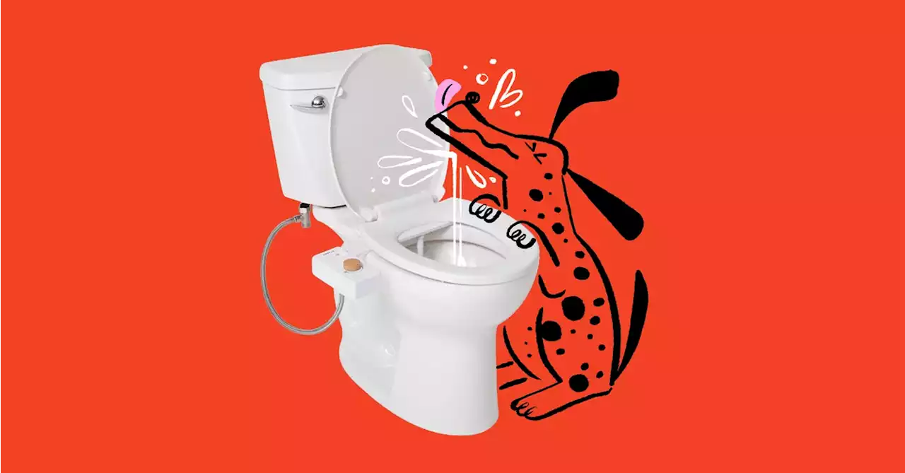 Here’s My Review Of The Tushy Bidet, And Yes, I’m A Fan