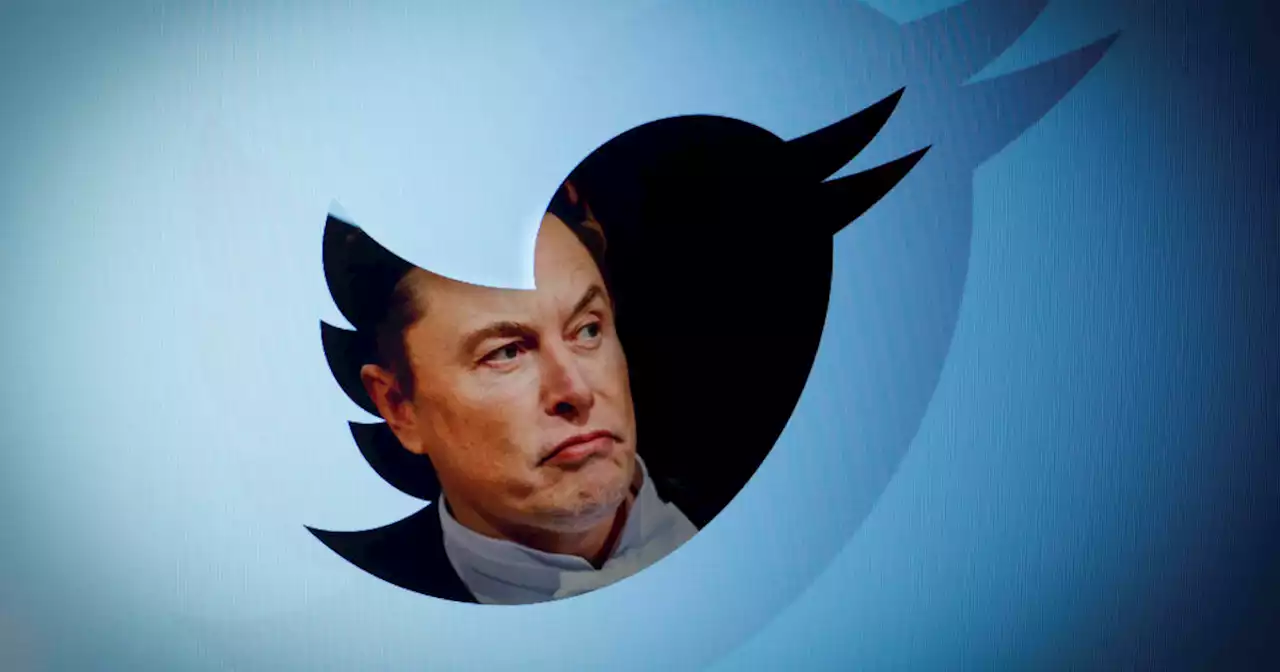 NAACP and ADL call for Twitter ad boycott after Musk reinstates Trump