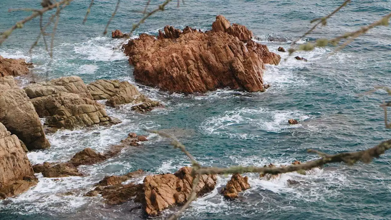 Il se promène tranquillement sur une plage et tombe sur une créature surréaliste