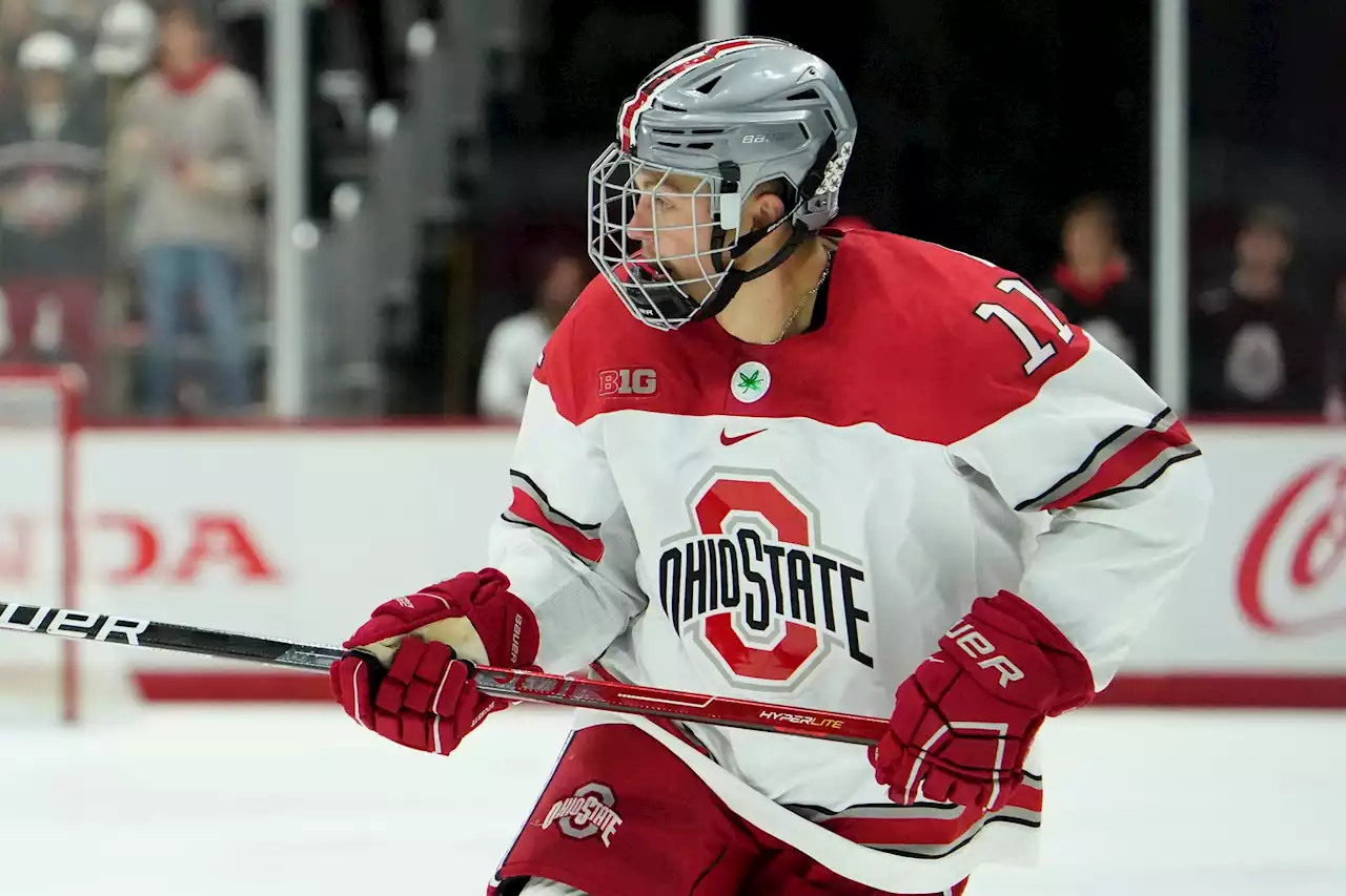 Ohio State forward Kamil Sadlocha sent home after alleged racial slur - Daily Faceoff