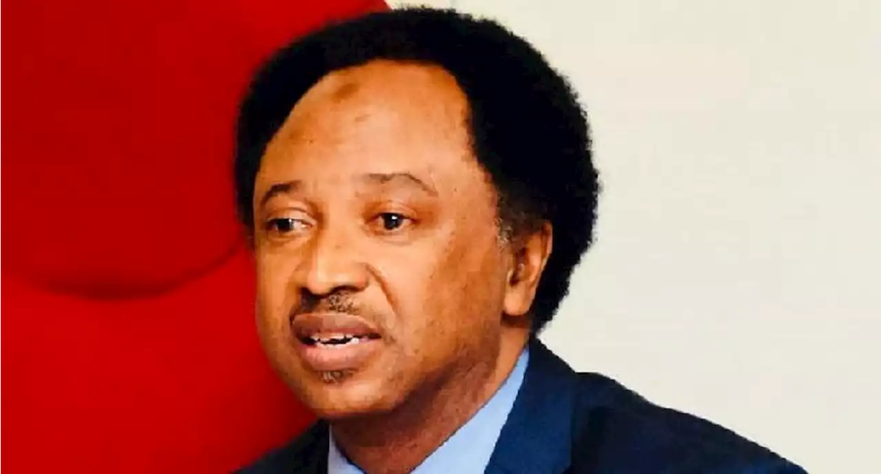 New Naira notes: If it’s colour, CBN should have just engaged Snapchat - Shehu Sani