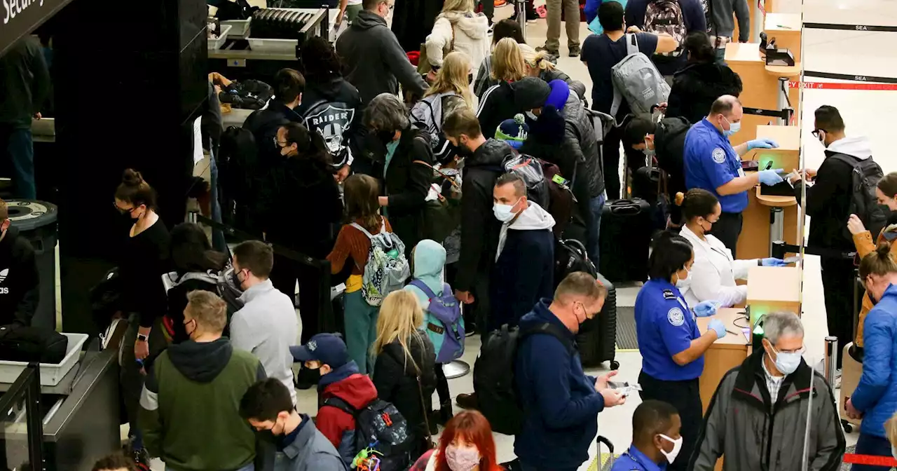 Thanksgiving travel guide: How not to stress during the busiest holiday travel season since 2019