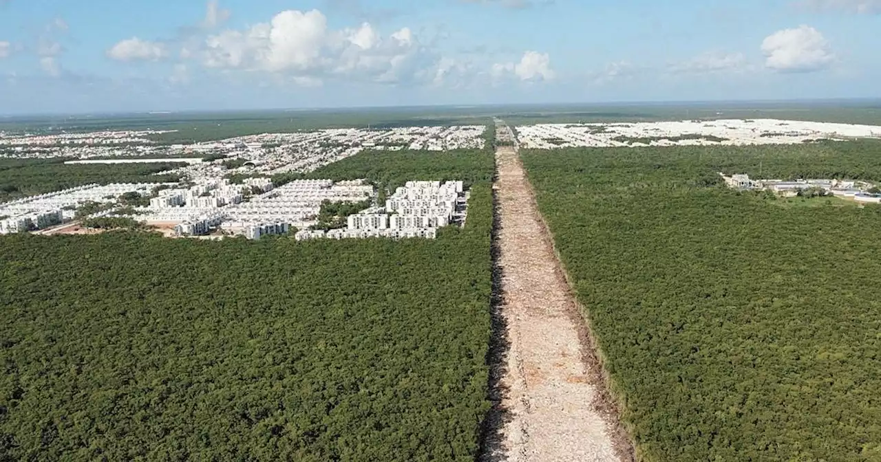 Ejidatarios exigen indemnizaciones por uso de tierras para Tren Maya