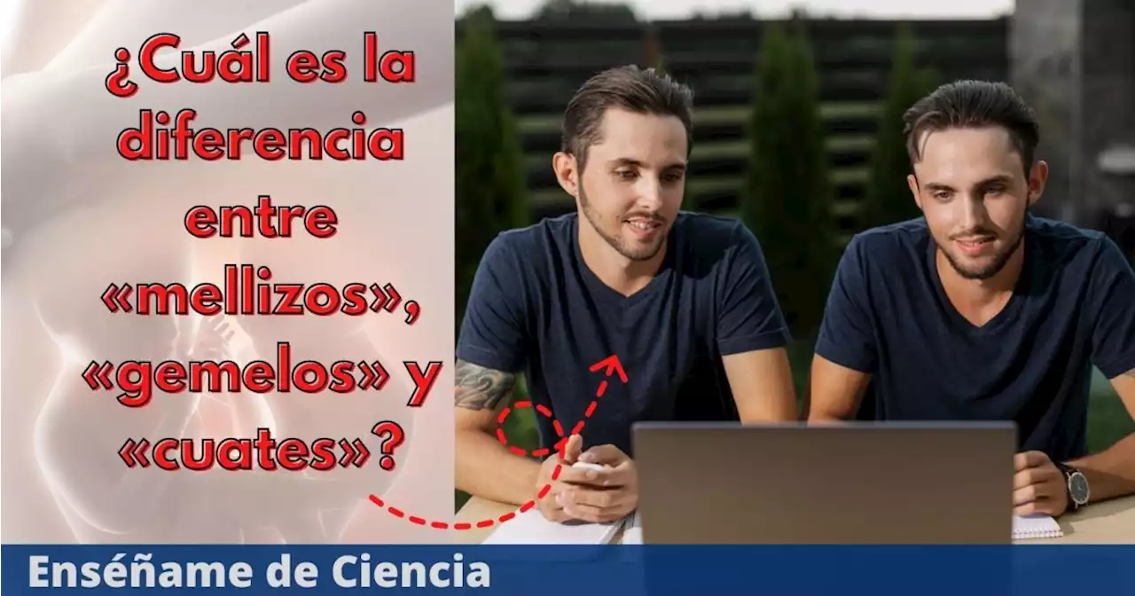 ¿Cuál es la diferencia entre «mellizos», «gemelos» y «cuates»?