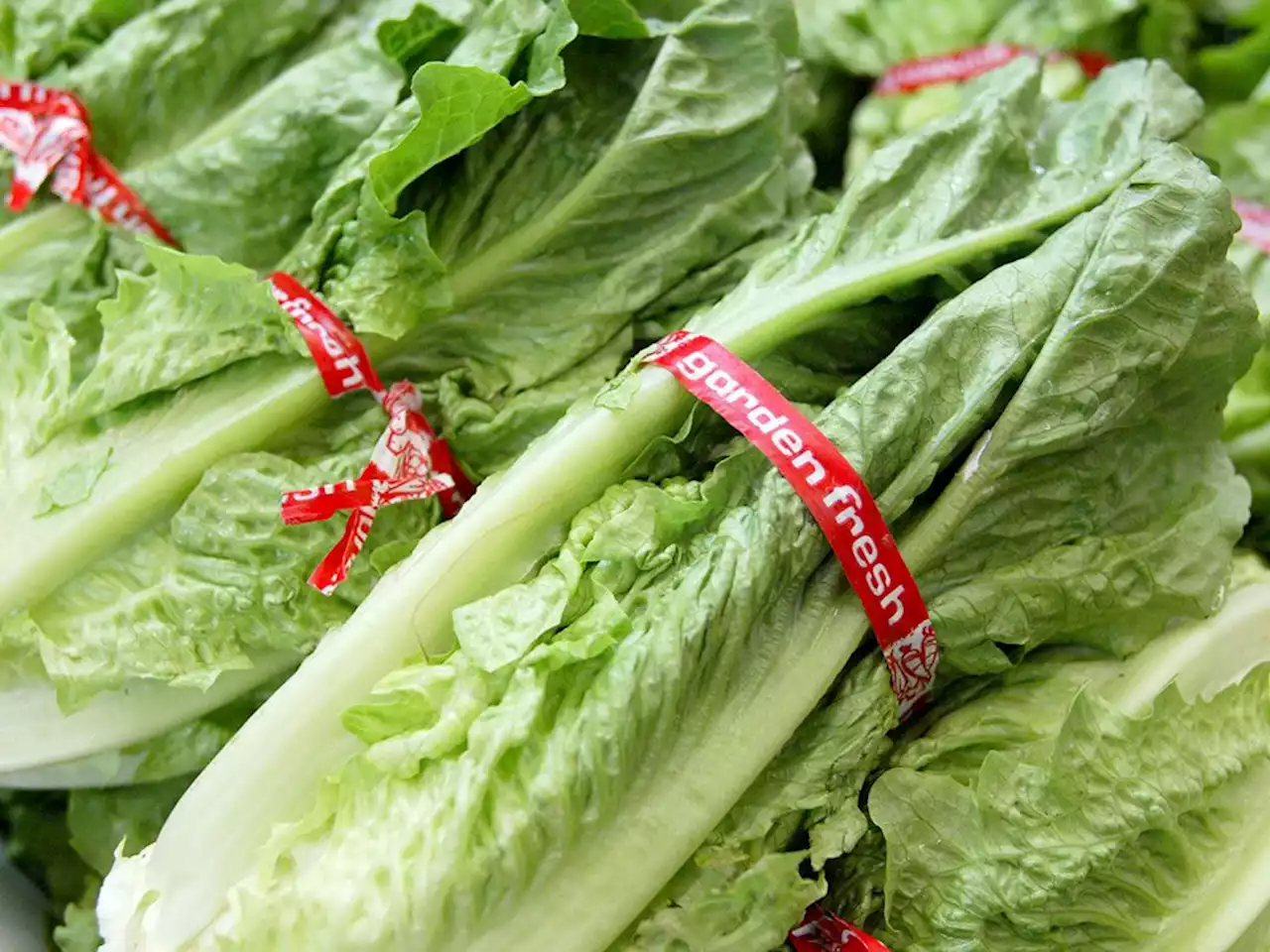 Why lettuce is suddenly so unbelievably expensive