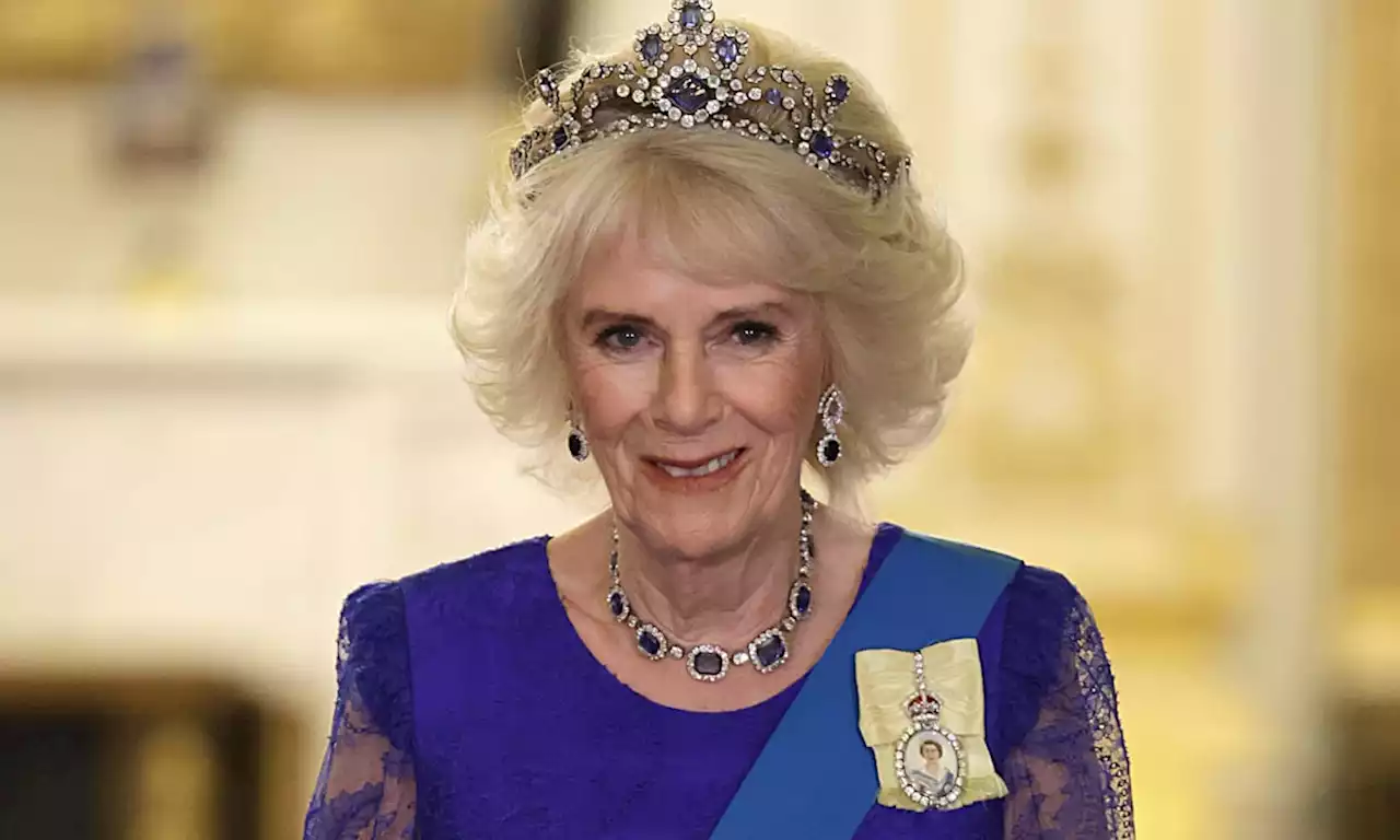 Queen Consort Camilla glitters in matching dress and tiara for state banquet