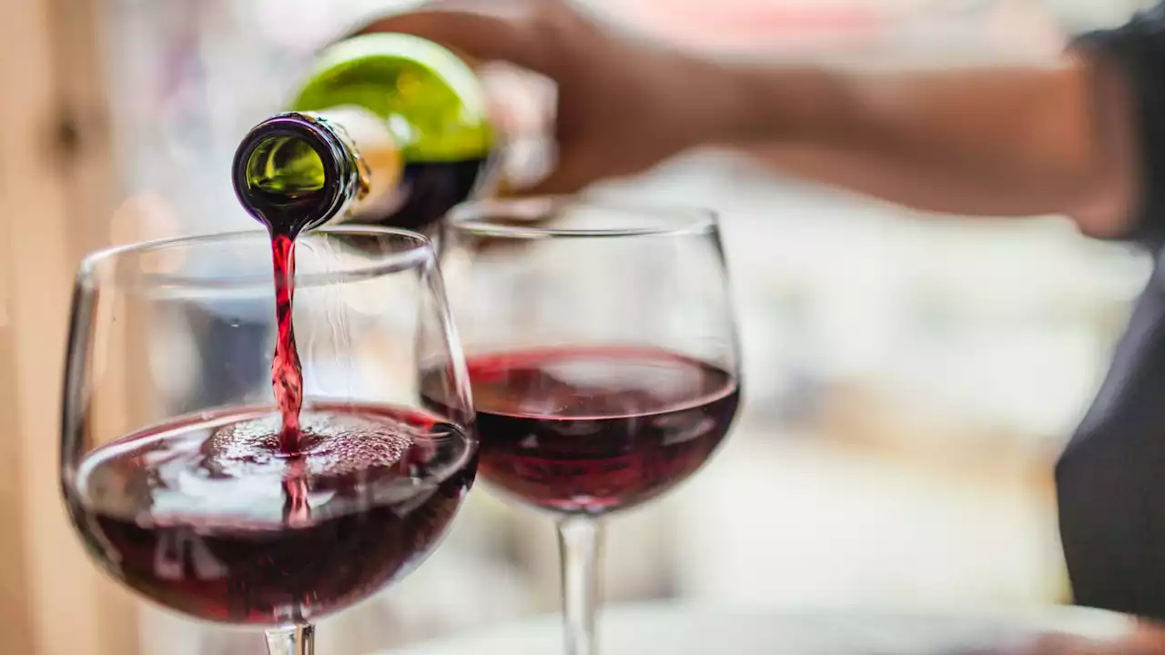 Tea and wine may slow down memory decline, study reveals