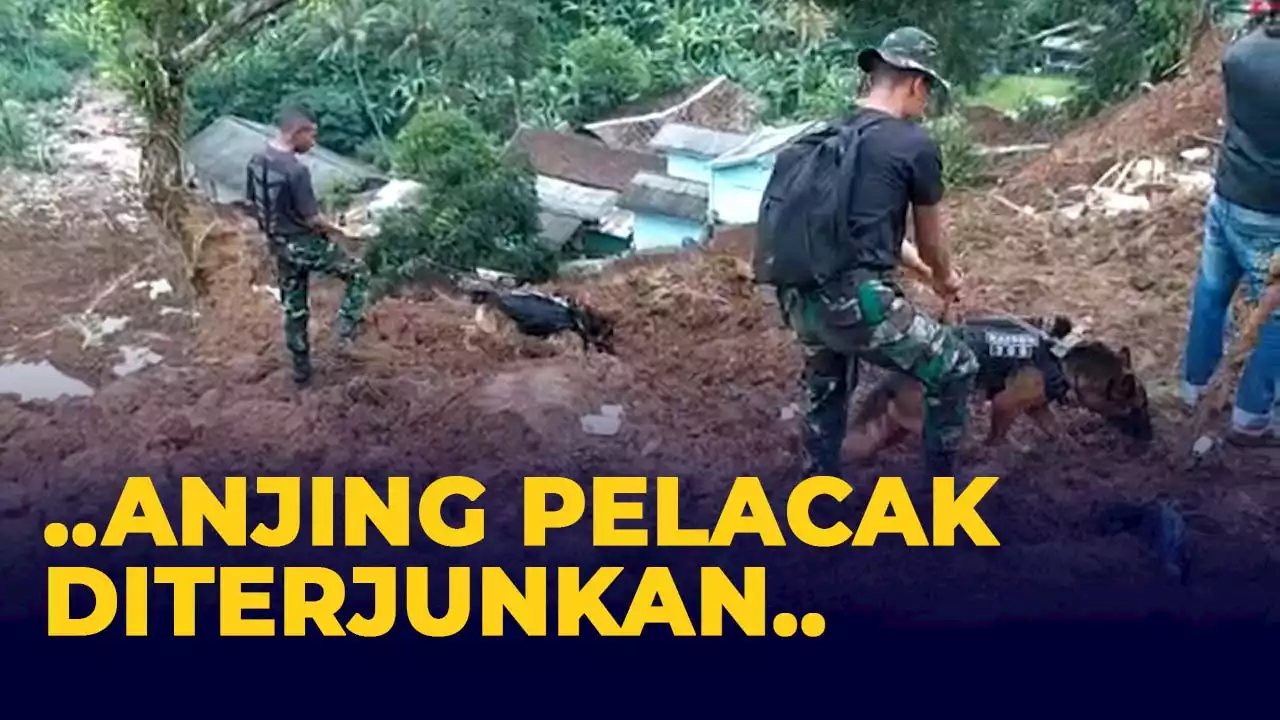 Anjing Pelacak Diterjunkan Cari Warga Cianjur yang Diduga Masih Tertimbun Akibat Gempa