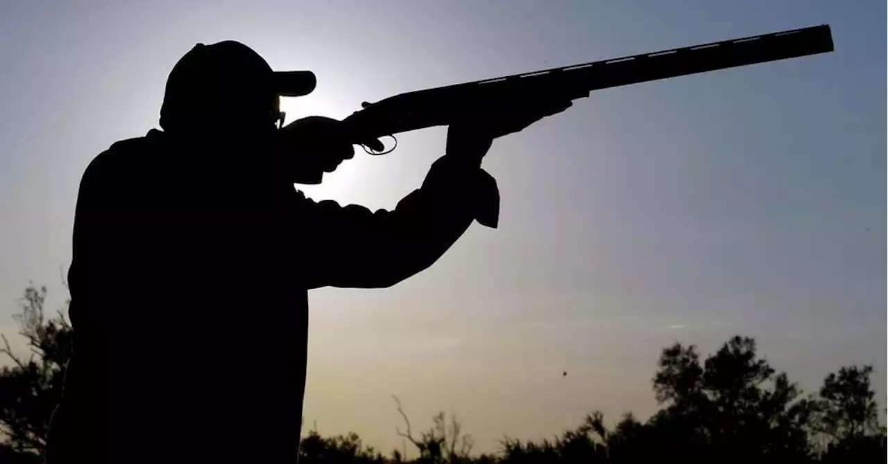 Le Conseil d'État juge à nouveau 'illégales' plusieurs chasses traditionnelles d'oiseaux