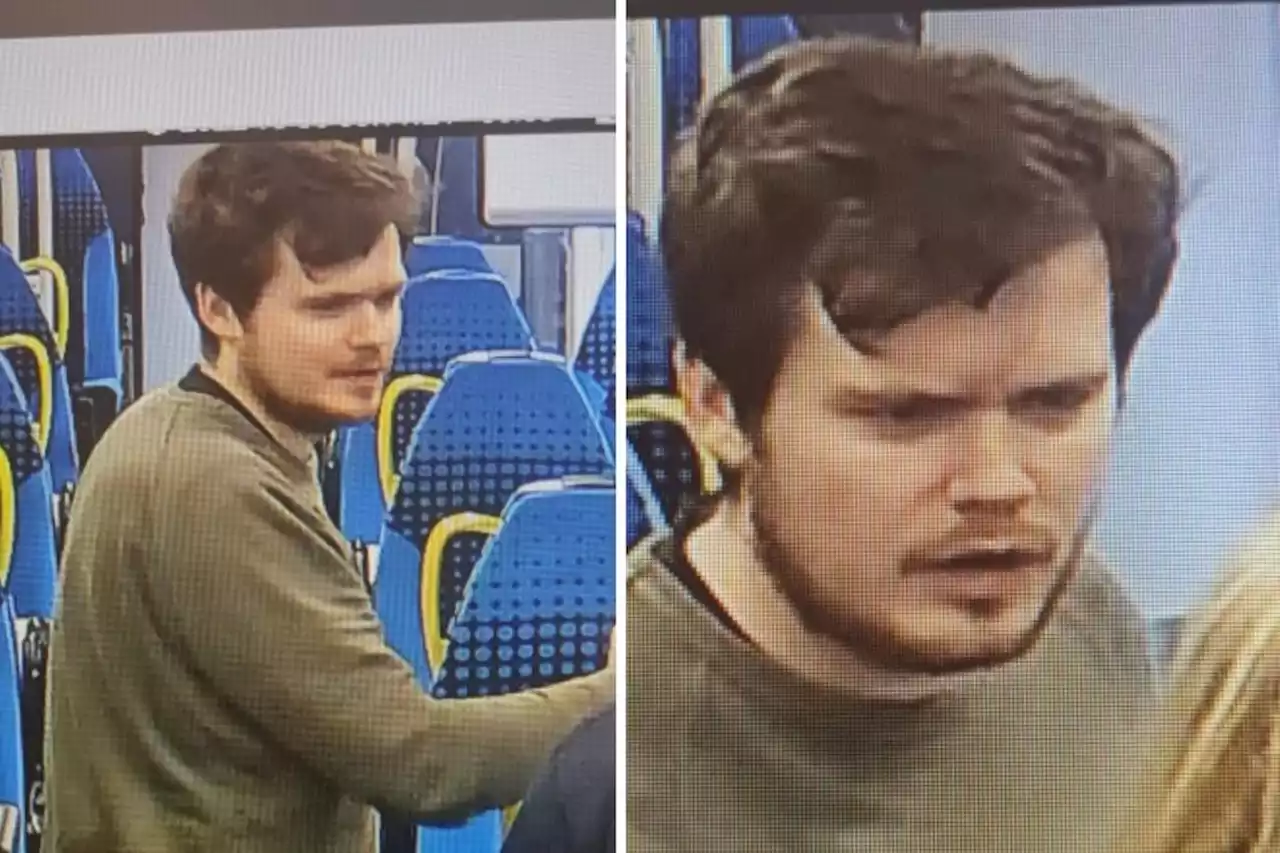 Police investigating the racial abuse of a rail passenger want to identify this man