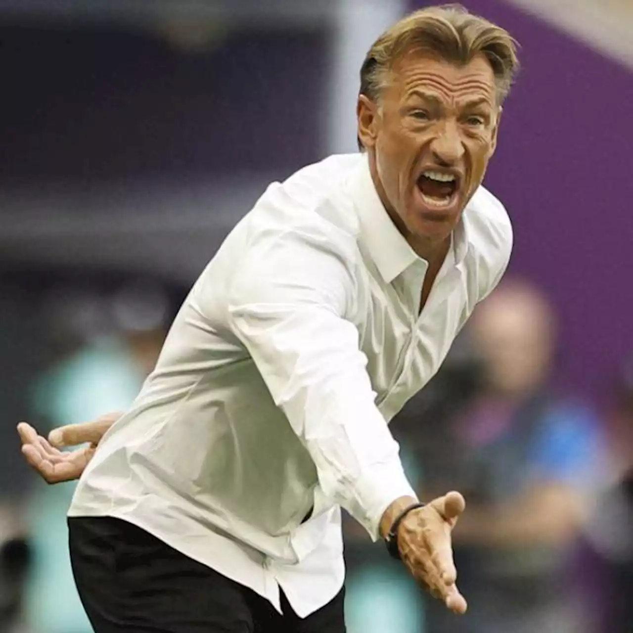 Hervé Renard (Arabie saoudite) est un entraîneur taillé pour les exploits