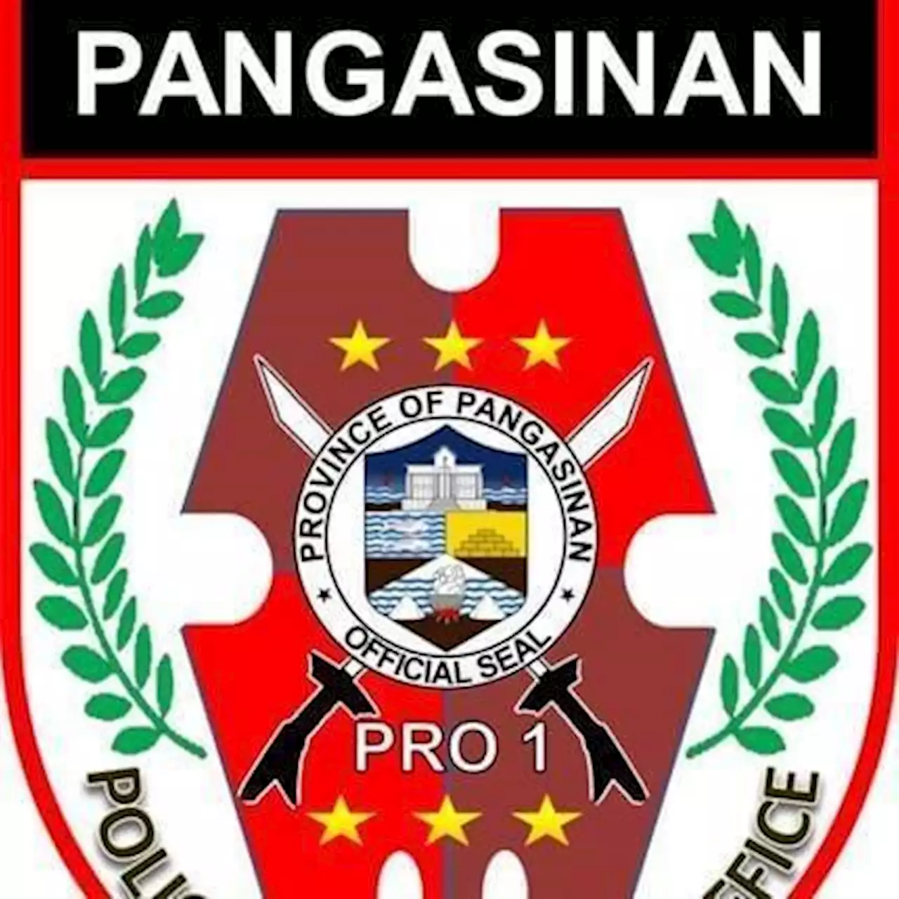 Crimes against children in Pangasinan gradually decreasing – PNP