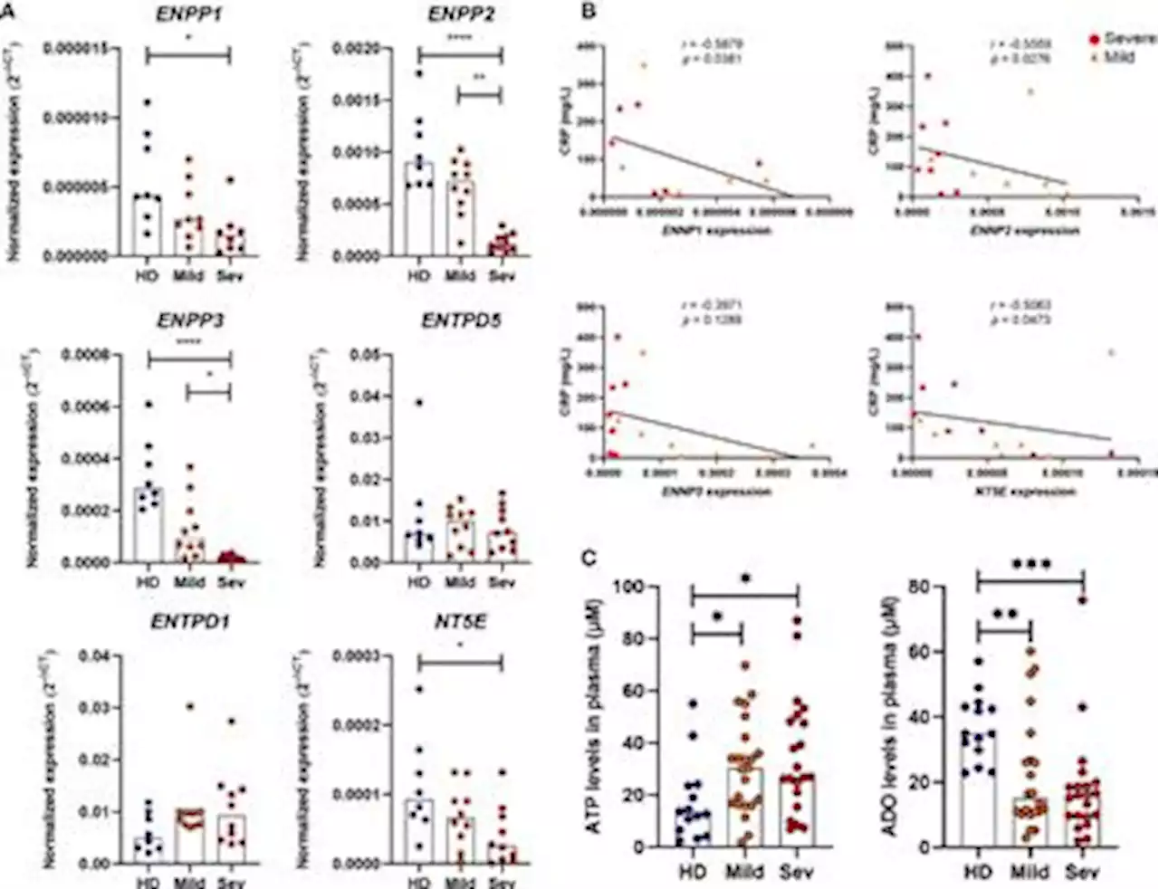 Frontiers | Dysfunctional purinergic signaling correlates with disease severity in COVID-19 patients