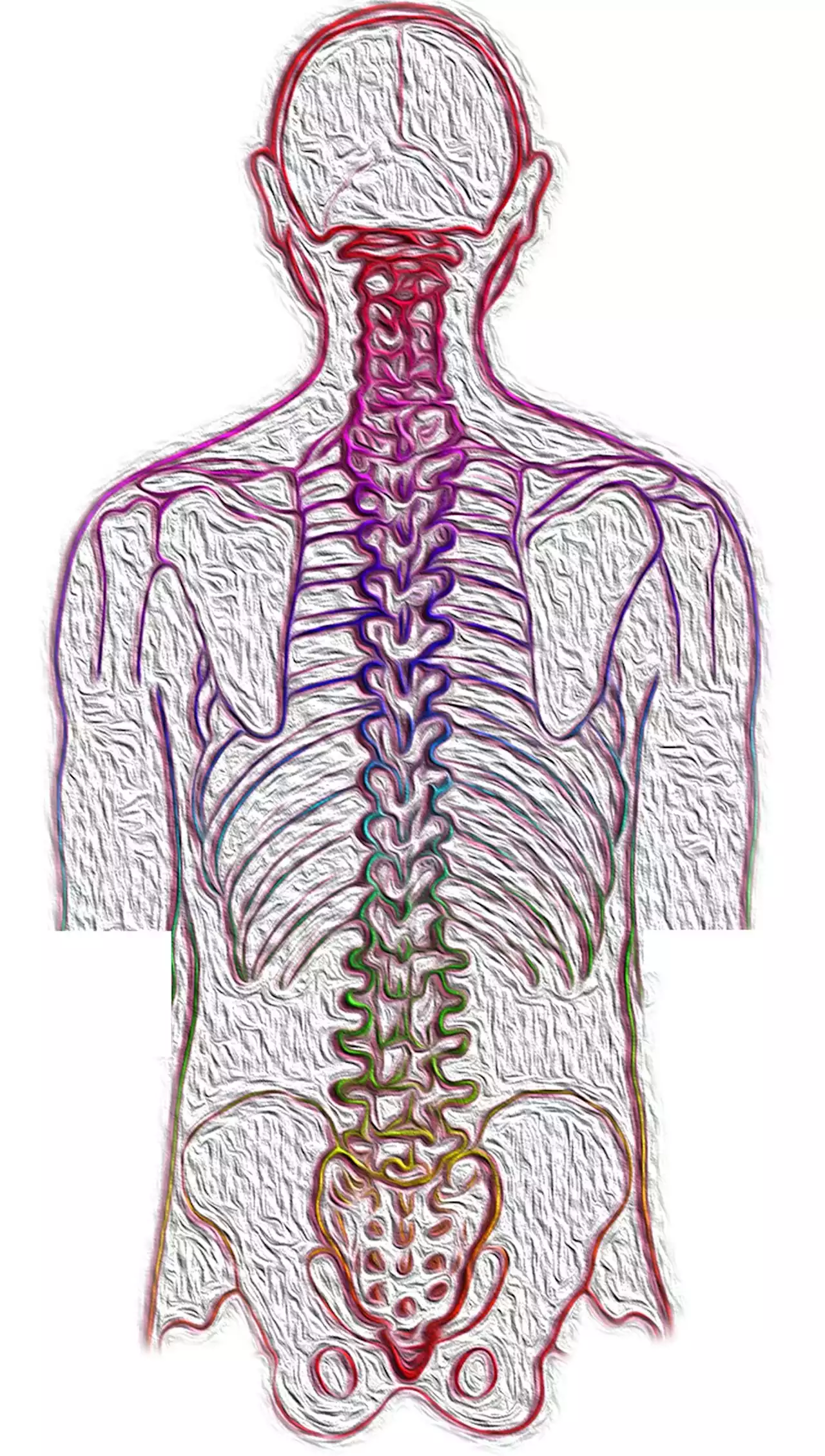 Pair of studies uncover surprising new roles for spinal cord and brainstem in touch