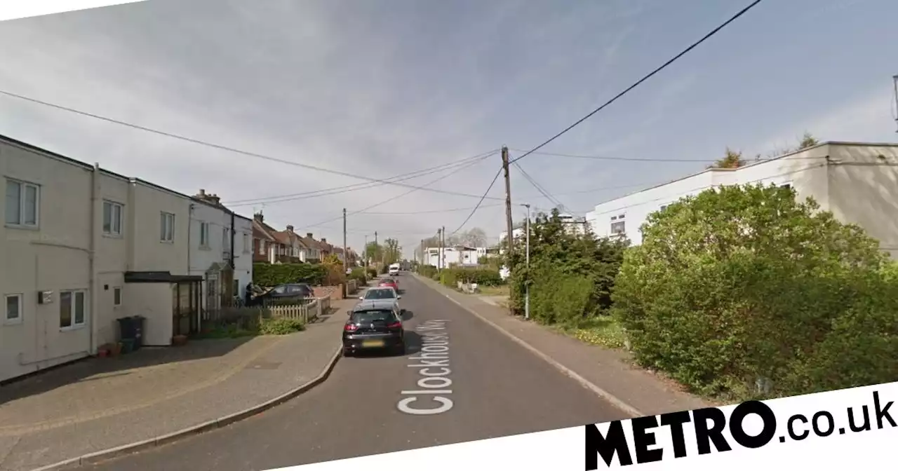 Man dies after being tasered by police in Essex