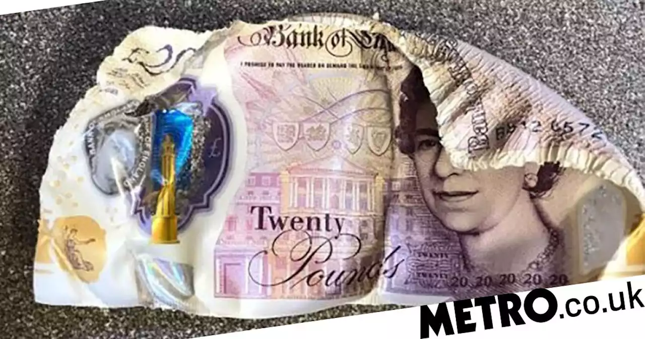 Mum accidentally slow-cooked a £20 note for days after hiding money in kitchen