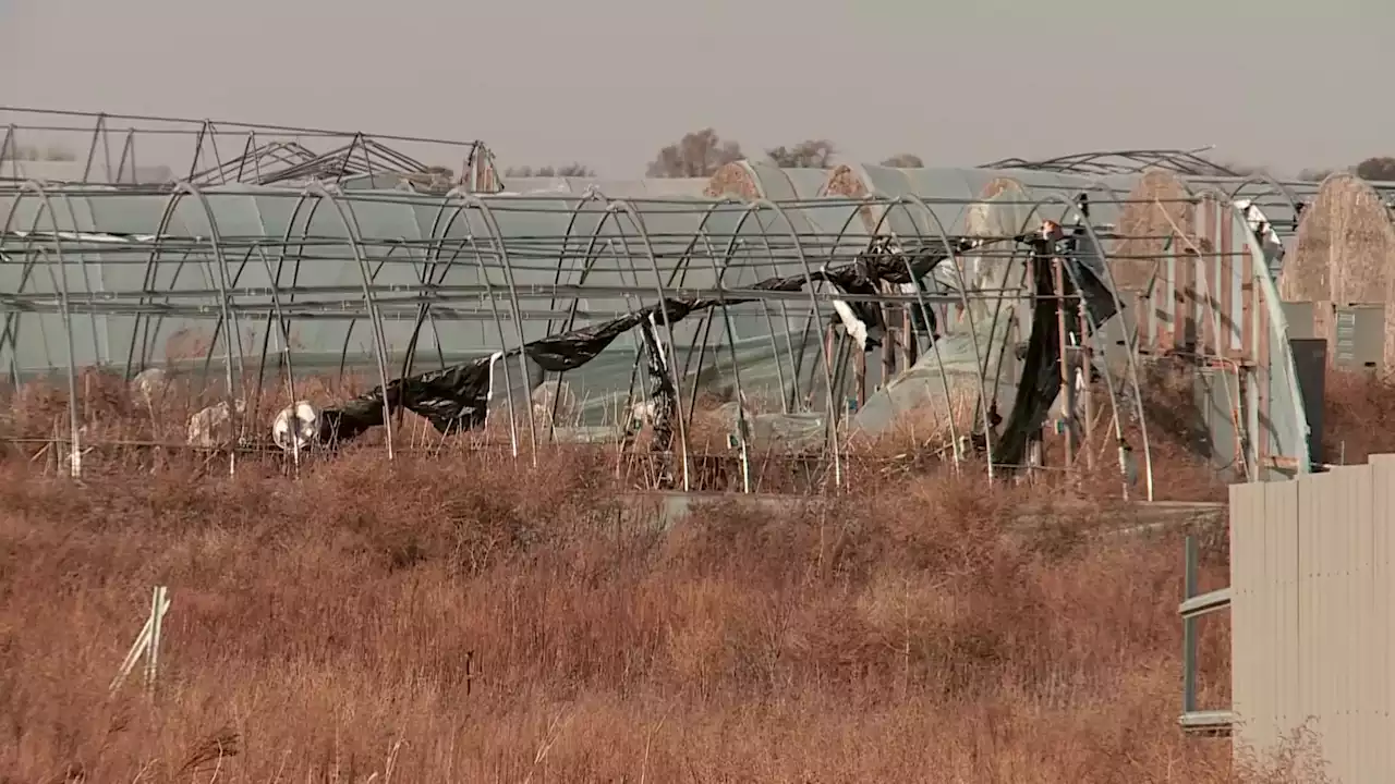 Suspect Arrested After 4 Killed at Oklahoma Marijuana Farm