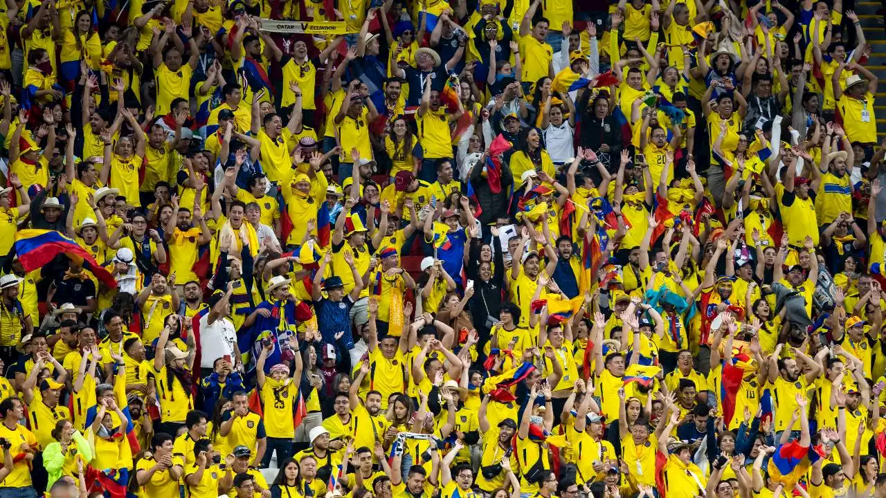 FIFA Fines Ecuador Over Fans' Discriminatory Chants in World Cup Opener