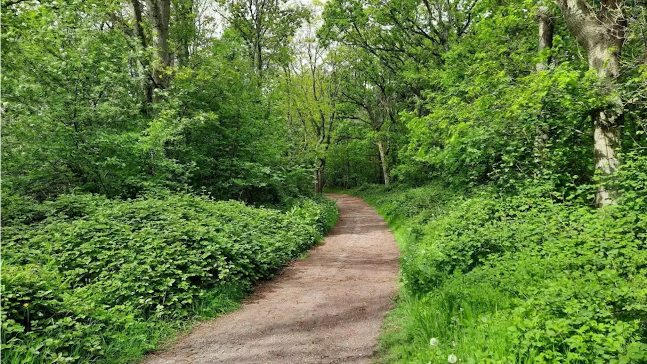 Den Helder rommelde met ecologisch rapport om wandelpad niet te hoeven aanleggen