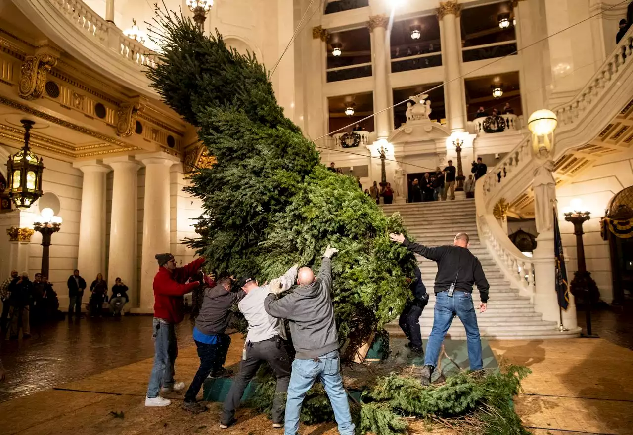 Pa. Capitol Christmas tradition revived after two-year interruption