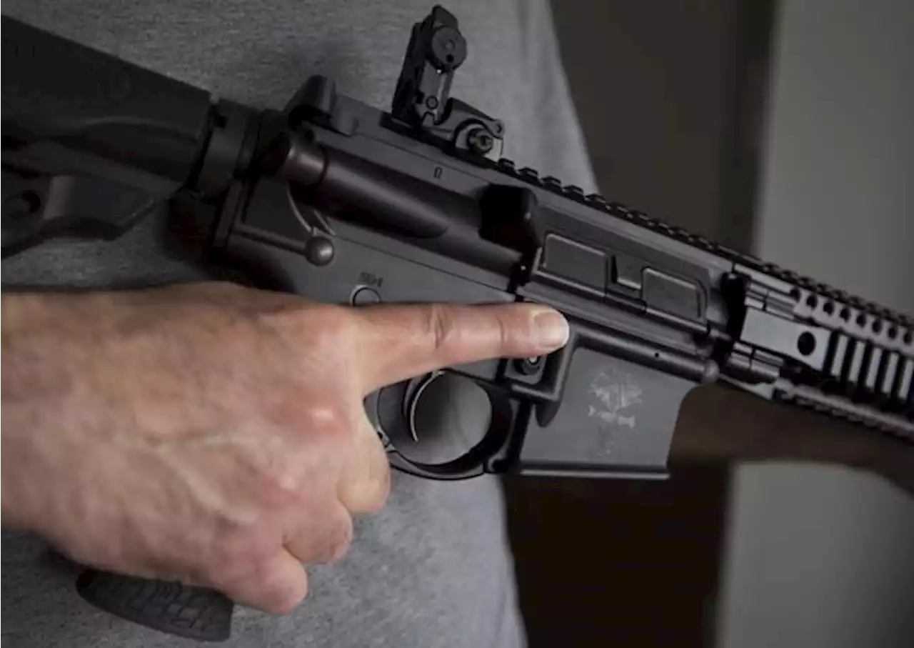 Assault-style firearm definition draws applause from gun-control group, ire of Tories