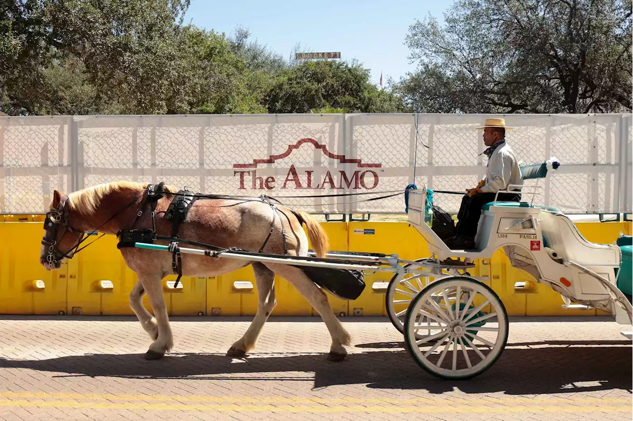 San Antonio weighs easing environmental rules for horse carriages