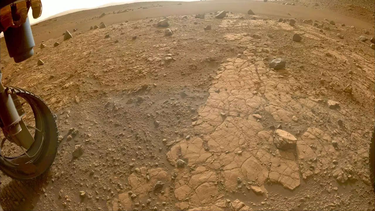 Search for Ancient Life: NASA’s Perseverance Mars Rover Investigates Intriguing Martian Bedrock