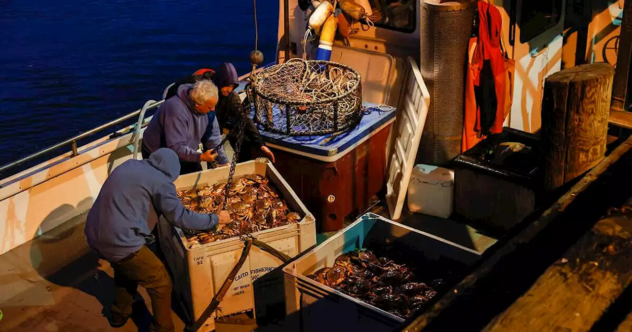 Clawing for crab? Here's how to get one for Thanksgiving