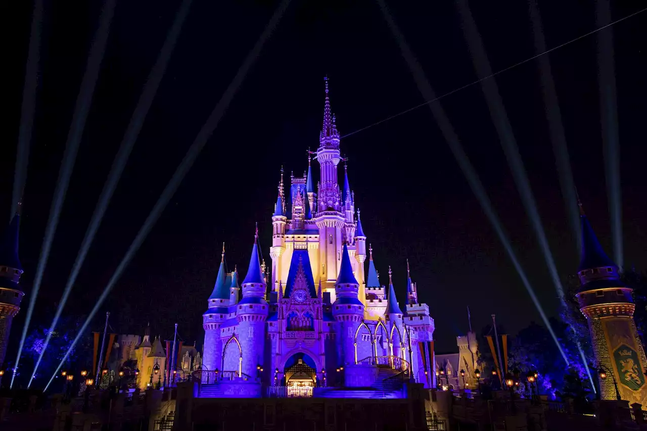 Disney World Obsessives Are Thrilled That CEO Bob Chapek Got Canned