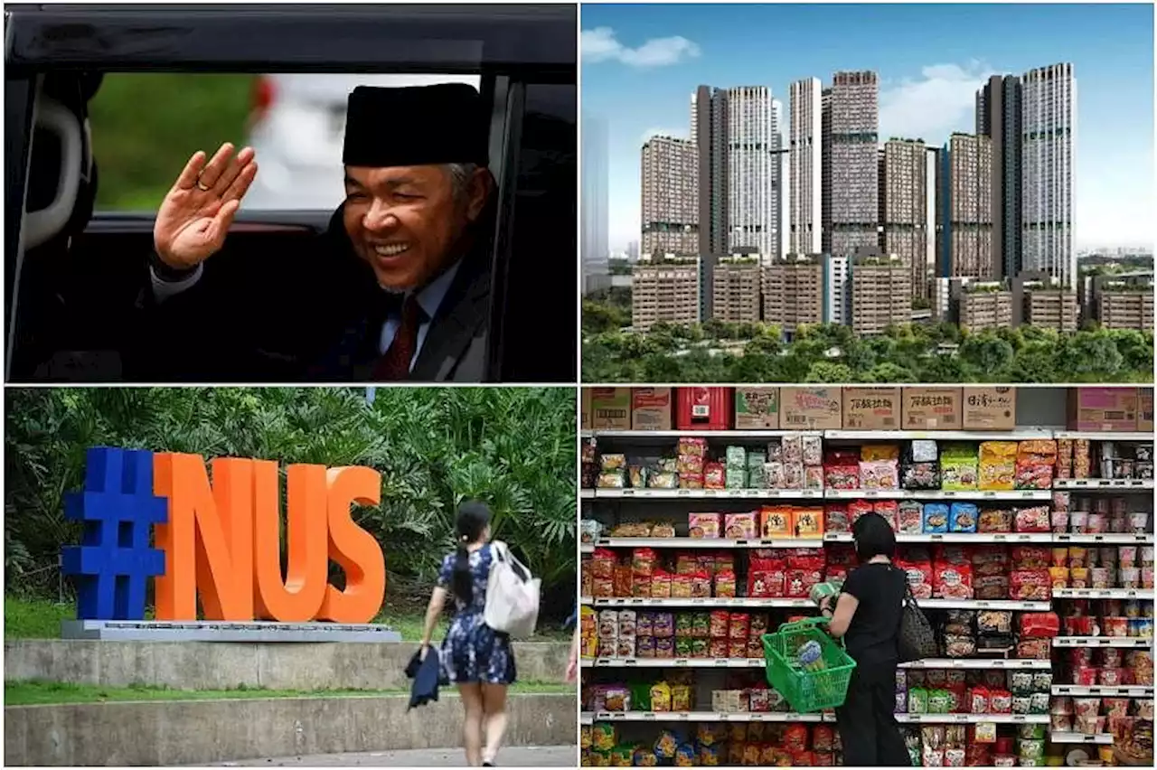 Evening Update: Today's headlines from The Straits Times on Nov 23