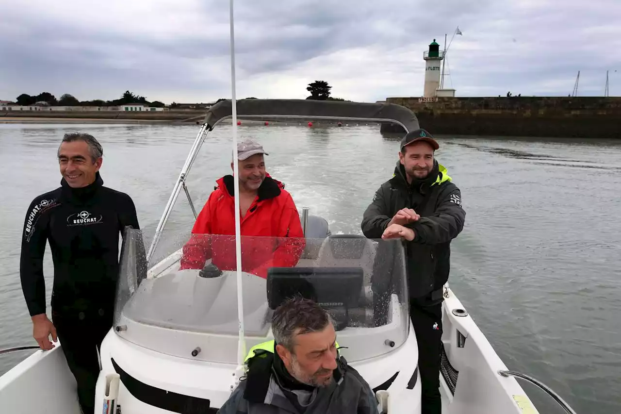 Vidéo. île de Ré : la coquille Saint-Jacques se pêche aussi en apnée