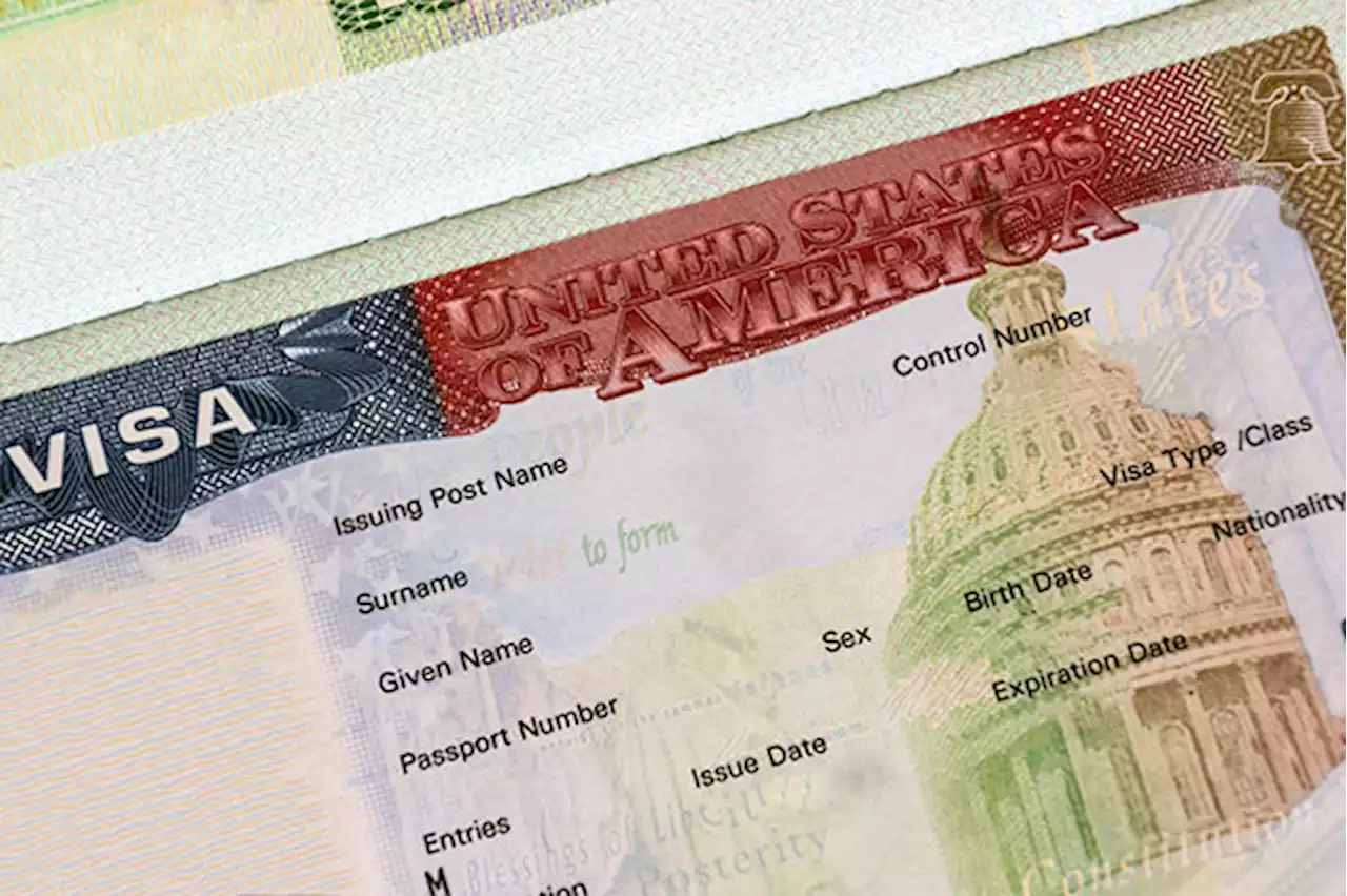 No-interview student visa renewals now available for Nigerians, says US embassy | TheCable