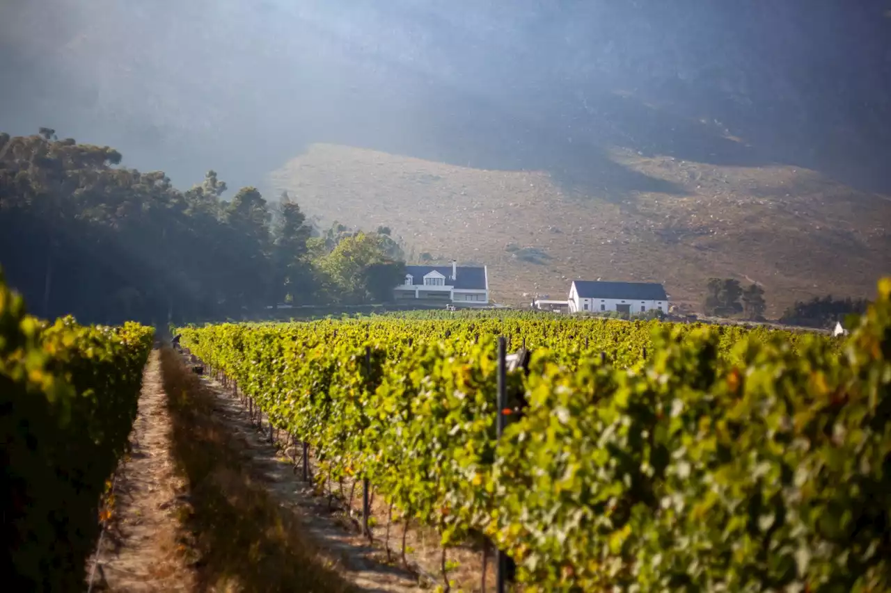 This Franschhoek hidden gem was named winery of the year | The Citizen