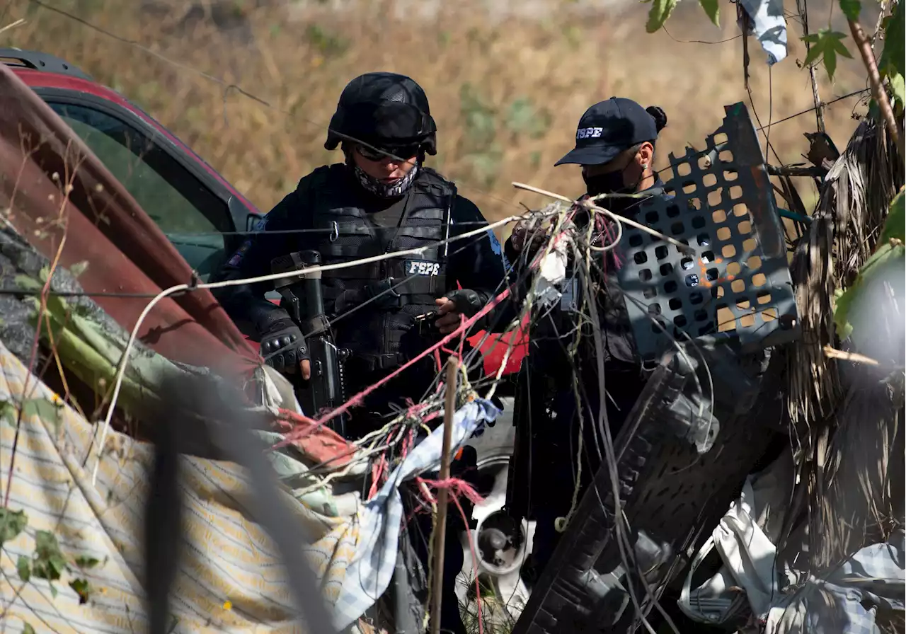 Cops find 53 BAGS of human remains at festival after dog spotted with hand