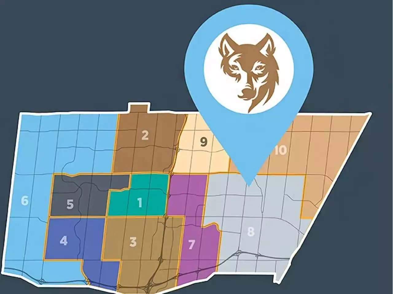 Brampton launches coyote interactive map to deal with sightings