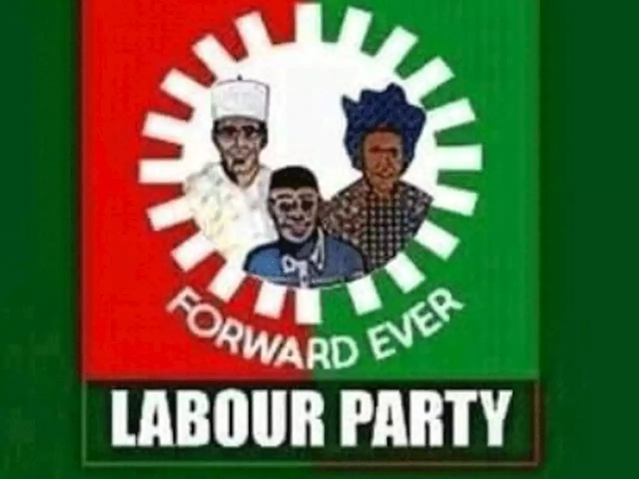 Labour Party Fumes over Grounding of Obi Campaign Aircraft by NCAA – THISDAYLIVE
