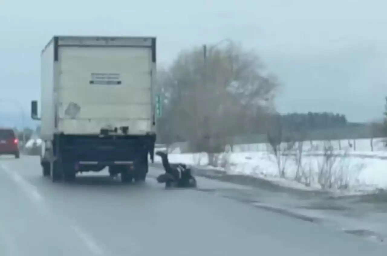 Man casually clings onto transport truck for 25+ blocks before falling on B.C. highway