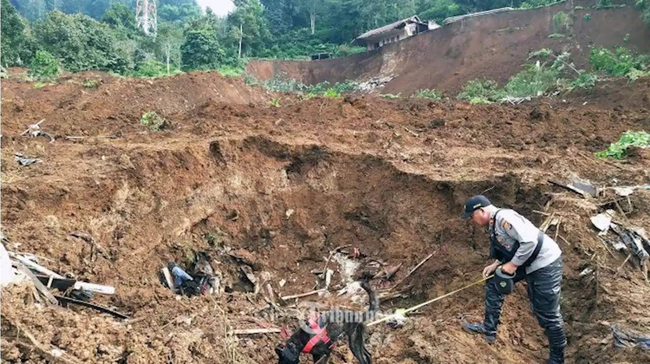 Kata Ahli soal Potensi Longsor Pasca-gempa Cianjur: Harus Ada Pemetaan, Warga Sebaiknya Mengungsi - Tribunnews.com