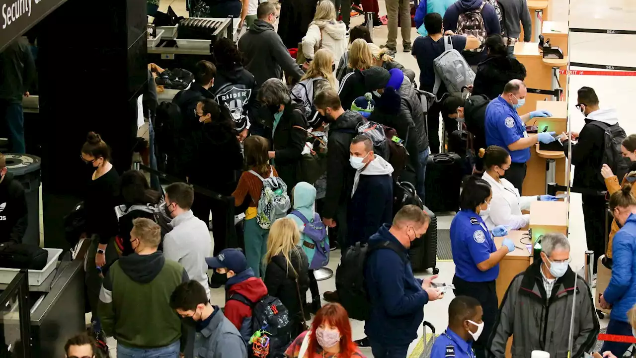 Thanksgiving travel guide: How not to stress during the busiest holiday travel season since 2019