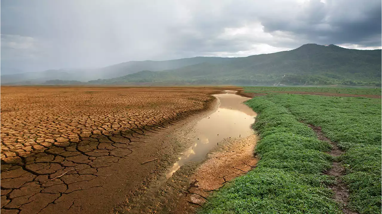 Estudio sobre cambio climático en México identifica daños en el ambiente - Gaceta UNAM