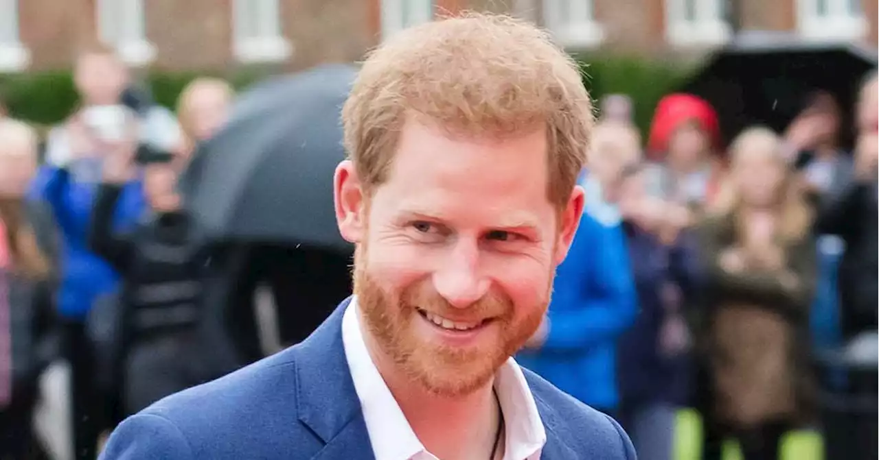 Prince Harry's Pals Have Questioned His Memoir, Docuseries: Royal Expert