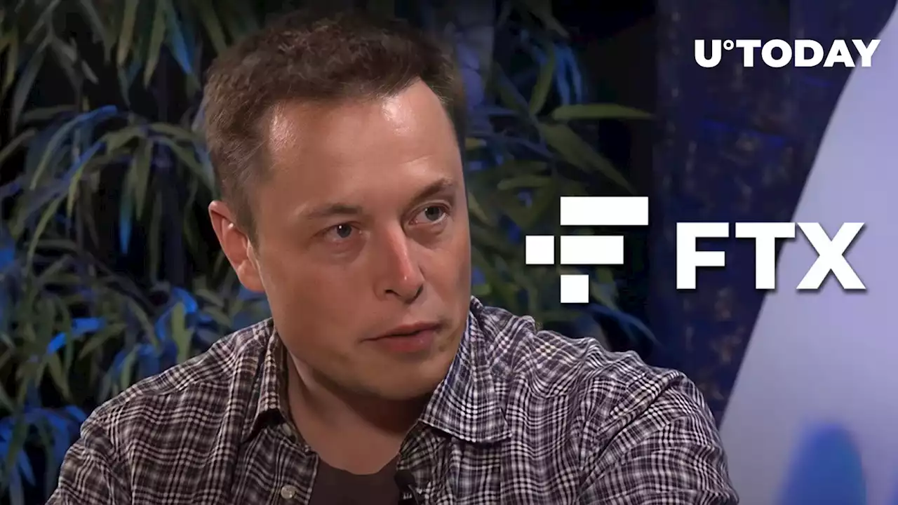 Elon Musk Furiously Shutting Down False Rumor about Twitter and Sam Bankman-Fried