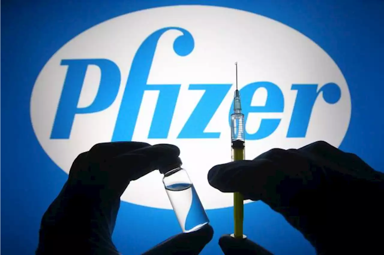 Anvisa libera vacina contra Covid da Pfizer que protege contra ômicron