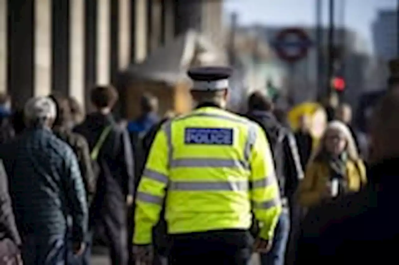 U.K. police hires applicants with history of crime, harassment, watchdog finds