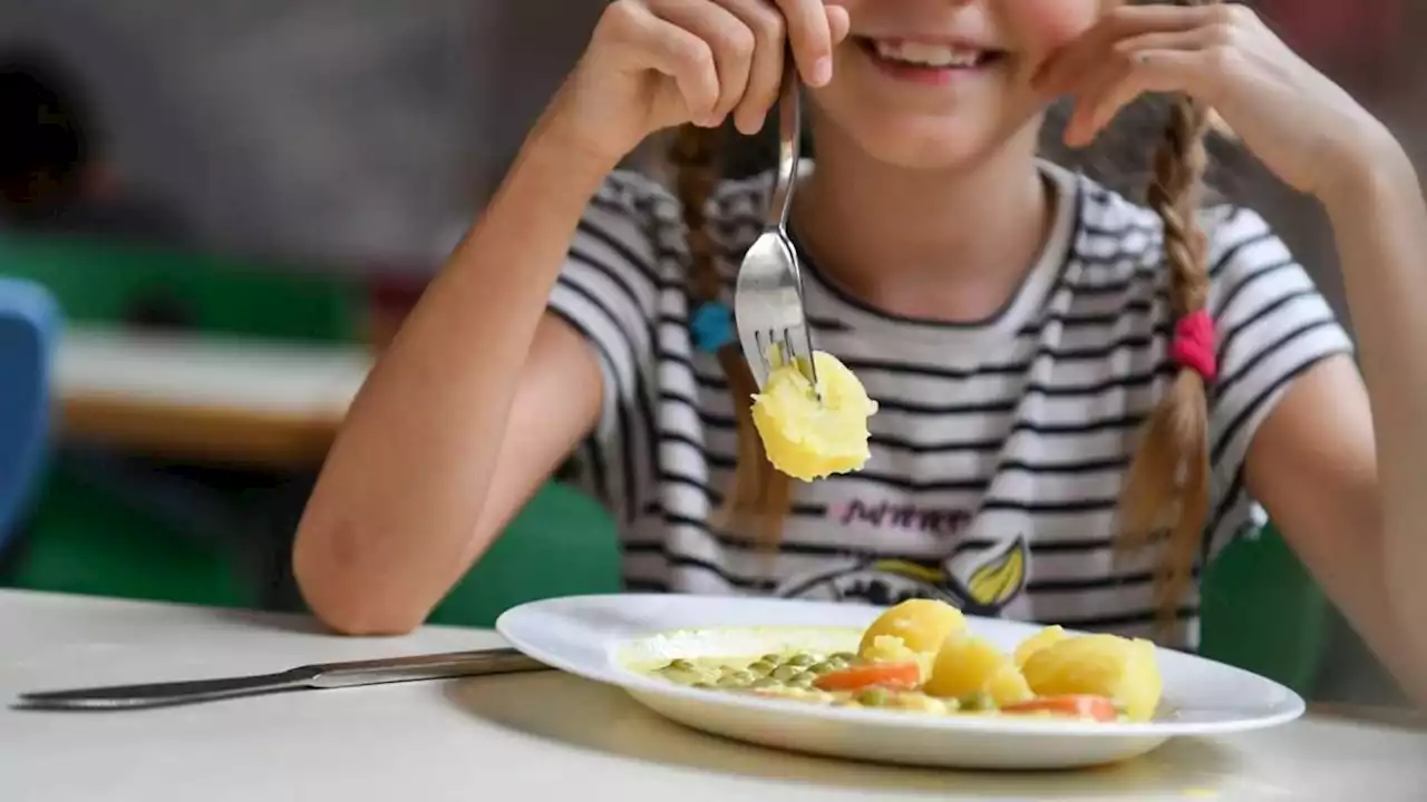 städtetag: niedersachsen soll kostenlose schul-mittagessen anbieten