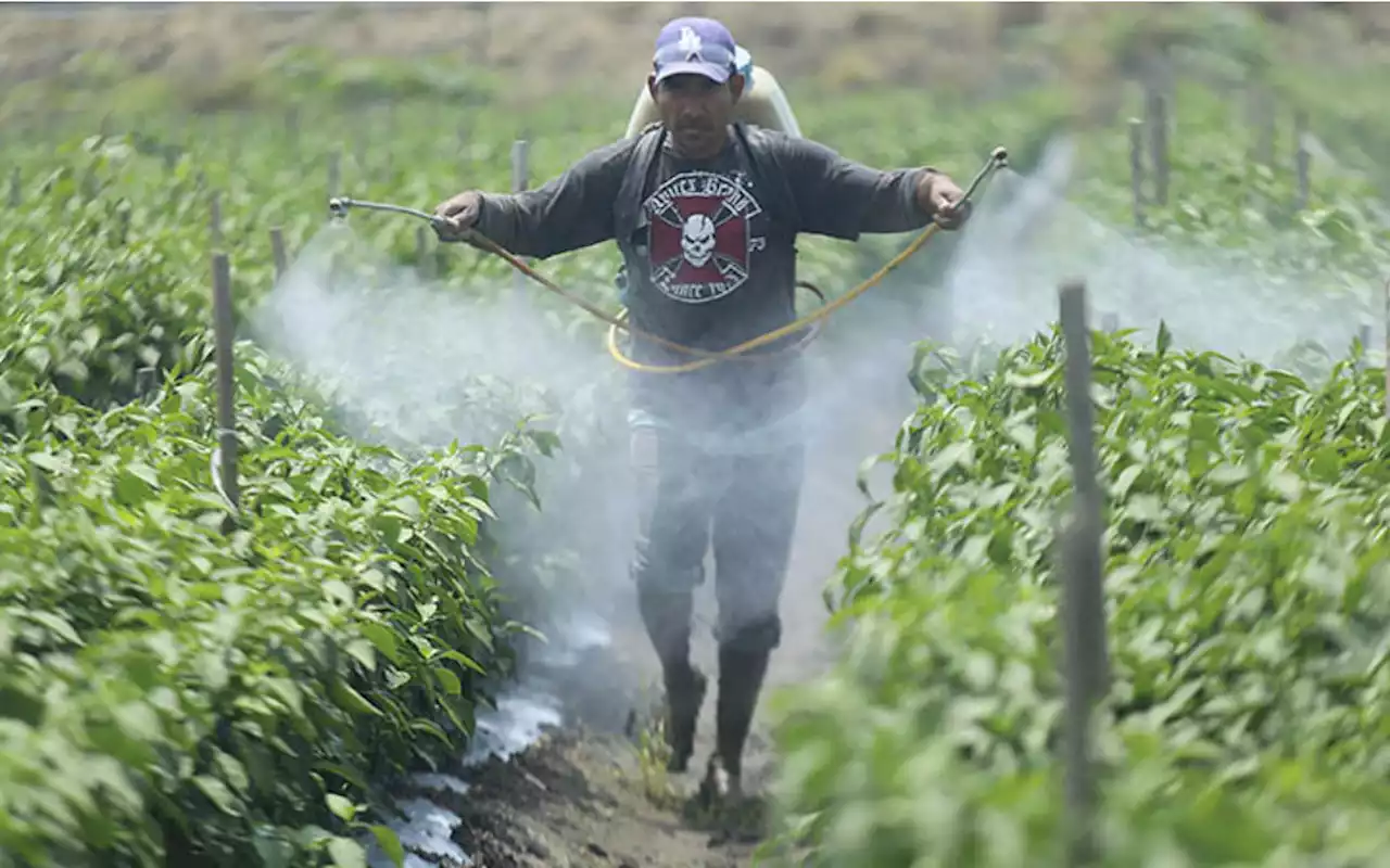 Hay acuerdo para limitar entrada de glifosato, reconoce AMLO