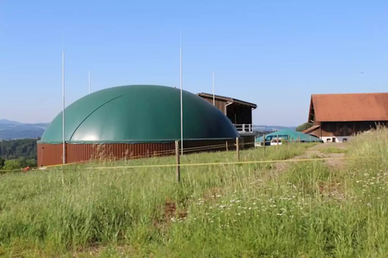 Das neue Fördermodell für Biogasanlagen helfe, gehe aber nicht weit genug - bauernzeitung.ch