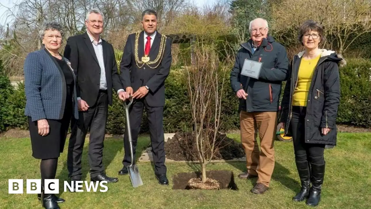 Leeds to mark late Queen's life with memorial tree